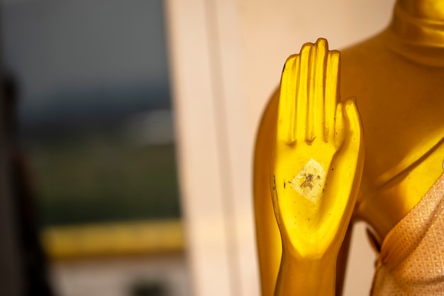 Le mani del Buddha belle ed eleganti, adatte al lavoro per progettare sul buddista