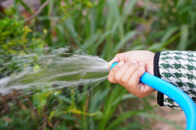 Le mani dell'agricoltore che spruzzano acqua sugli alberi