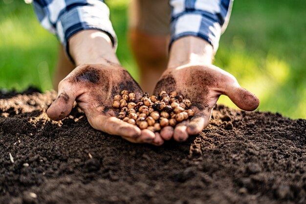 Le mani dell'agricoltore che tengono i semi per piantarli nel terreno