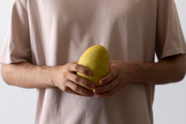 Le mani dell'agricoltore che tengono il grande frutto giallo maturo fresco del mango