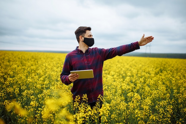 Le mani dell'agricoltore sulle piante in fiore di colza che tengono in mano un tablet ed esaminano i fiori nel campo