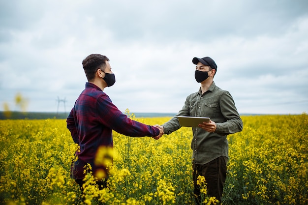 Le mani dell'agricoltore sulle piante in fiore di colza che tengono un tablet e si tengono per mano in un campo