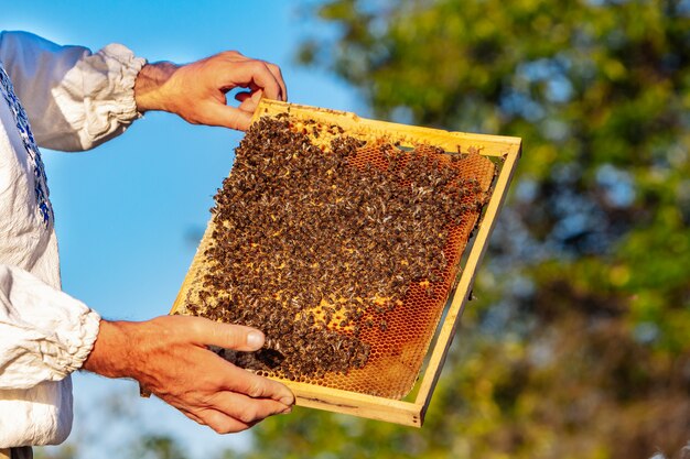 Le mani dell'uomo mostrano una cornice di legno