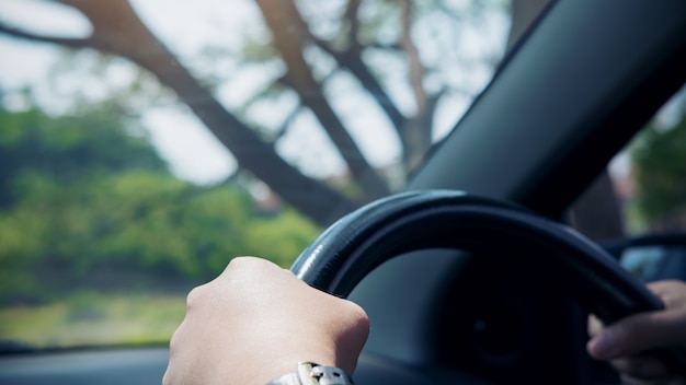 Le mani della donna che tengono sul volante nero mentre guidano un&#39;automobile con il grande fondo dell&#39;albero