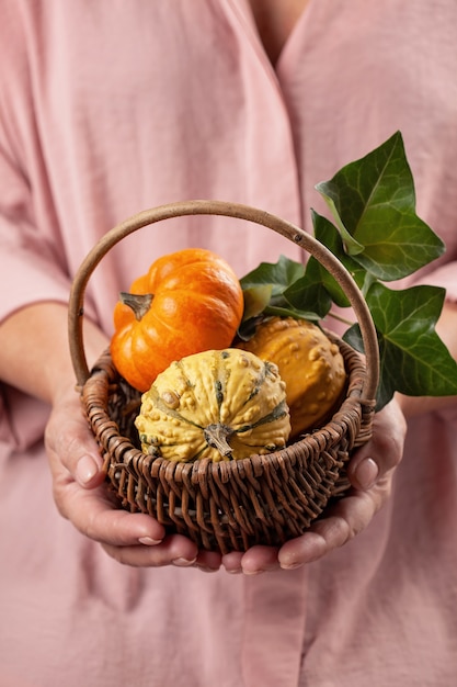 Le mani della donna che tengono zucca.