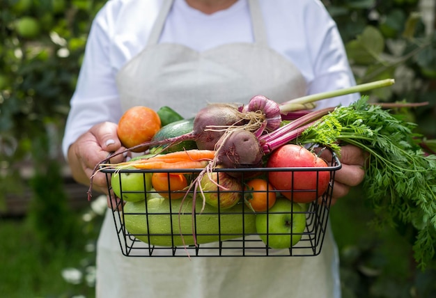 Le mani della donna stanno tenendo il cestino con le verdure all'esterno