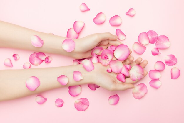 Le mani della donna tengono i fiori di rosa su una superficie rosa. Un polso sottile e una manicure naturale. Cosmetici per una cura della pelle sensibile. Cosmetici naturali ai petali, cura delle mani antirughe.