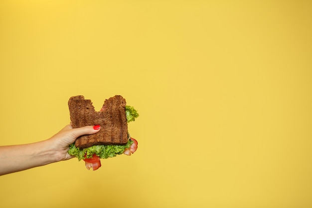 Le mani della donna tengono il panino morso. Concetto di promozione sandwich