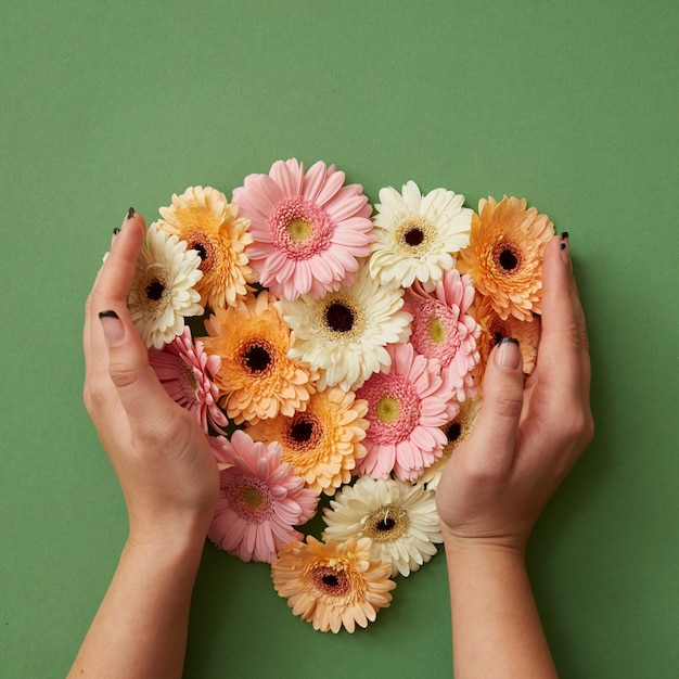 Le mani della ragazza tengono diversi fiori di gerbera fresca su uno sfondo verde. San Valentino. Festa della mamma