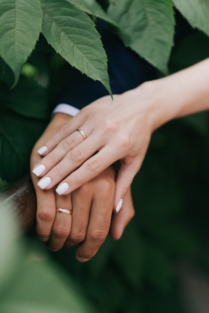Le mani della sposa e dello sposo con le fedi nuziali chiudono il minimalismo