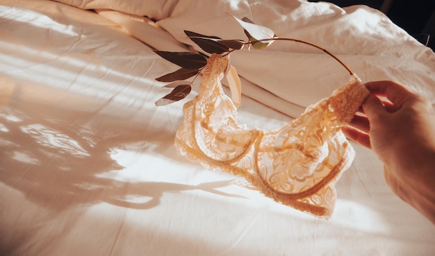 Le mani delle donne tengono un reggiseno di pizzo su un ramo di eucalipto sopra un lenzuolo sotto i raggi del sole del mattino