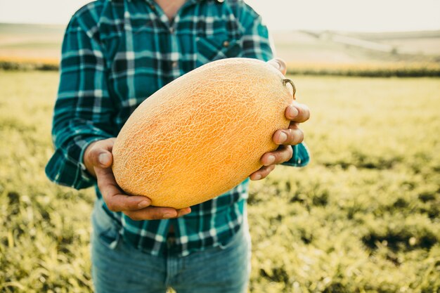 Le mani di un contadino tengono un grosso melone in primo piano di un frutto giallo tenuto dalle mani dell'agricoltore maschio