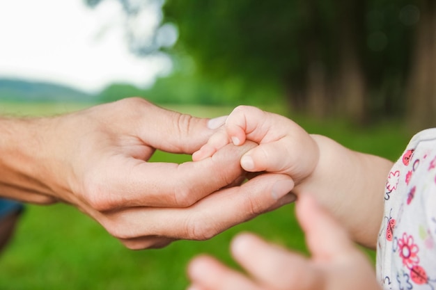 le mani di un genitore e di un bambino felici in natura
