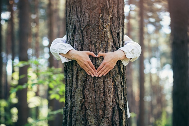 Le mani di una giovane donna abbracciano un albero nella foresta e mostrano un segno di cuore e amore per la natura