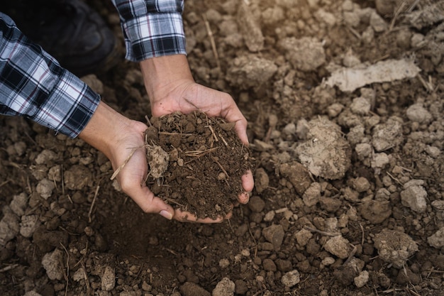 Le mani esperte degli agricoltori controllano la salute del suolo prima di piantare semi o piantine di ortaggi Idea imprenditoriale o ecologia