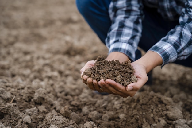 Le mani esperte degli agricoltori controllano la salute del suolo prima di piantare semi o piantine di ortaggi Idea imprenditoriale o ecologia