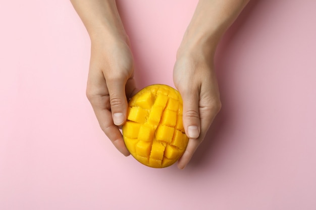 Le mani femminili tengono il frutto di mango maturo su sfondo rosa