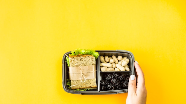 Le mani femminili tengono il lunchbox con il cibo