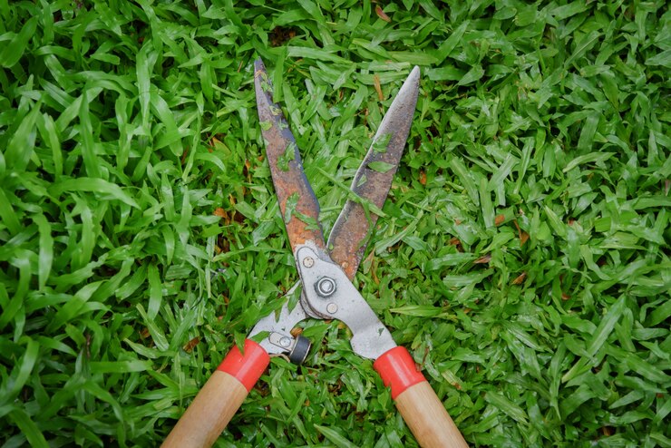 Le mani tengono le forbici da giardinaggio sul verde, tagliando l'erba dal giardiniere.