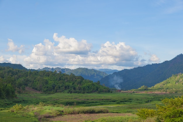 Le montagne coperte di foreste attorno