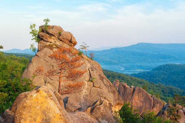 Le montagne dei Carpazi abbelliscono al tramonto, enormi rocce di pietra di Dovbush.