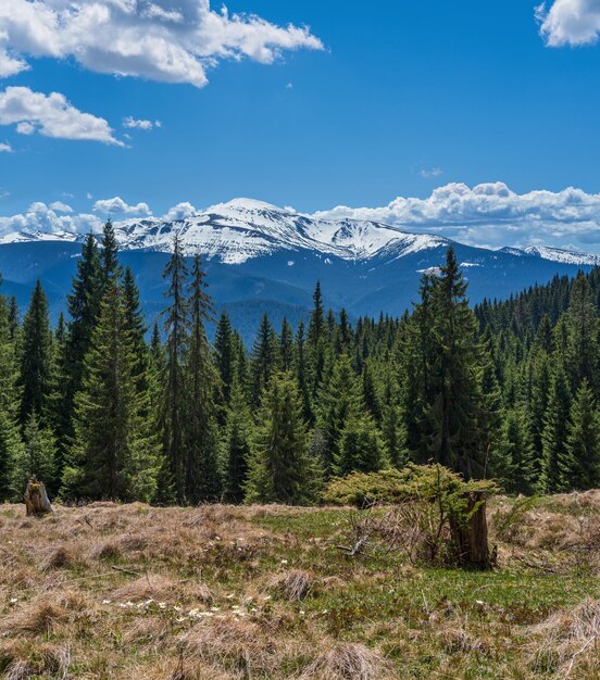 Le montagne dei Carpazi primaverili vedono l'Ucraina