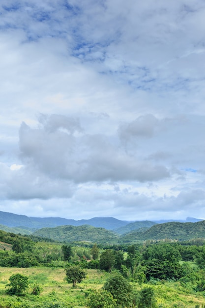 Le montagne dell&#39;estate erba verde e cielo blu abbelliscono