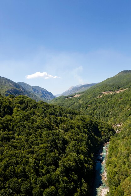 Le montagne ricoperte di alberi vari, altre piante. Montenegro