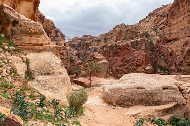 Le montagne rocciose dell'arenaria abbelliscono nel deserto della Giordania vicino alla città antica di Petra, Giordania