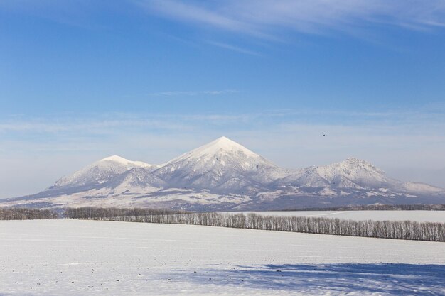 Le montagne sono coperte di neve. Paesaggio invernale