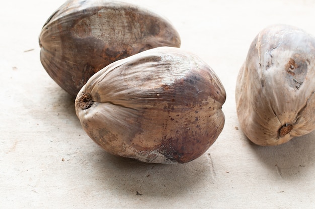 Le noci di cocco secche primo piano per producono il latte delle noci di cocco