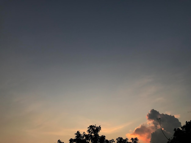 le nuvole al tramonto sono bellissime e l'albero di silhouette naturale