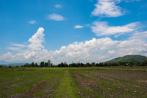 Le nuvole bianche hanno una forma strana e un lato del paese. Cielo nuvoloso e blu.