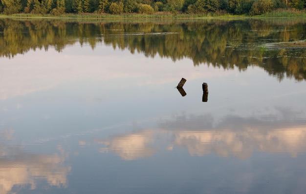 Le nuvole mattutine si riflettono nell'acqua di una foresta lago Regione di Mosca Russia