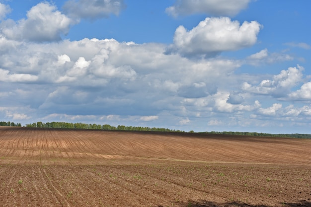 Le nuvole volano sul campo sconfinato