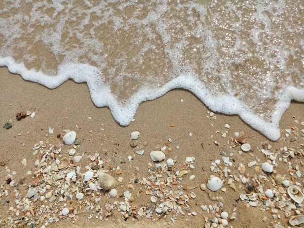 Le onde battono sulla spiaggia con frammenti di conchiglie.