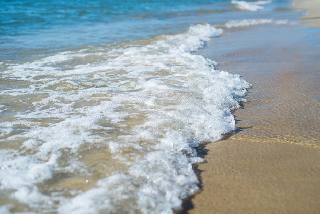 Le onde dell'oceano o del mare sulla spiaggia