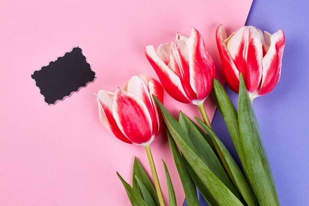 Le parole sono superflue Cartoncino vuoto e tulipani colorati