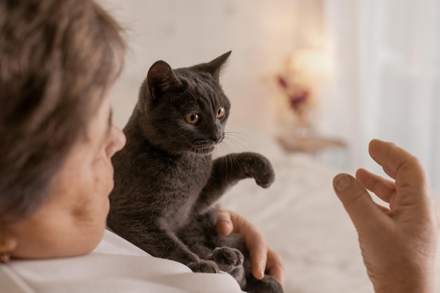 Le persone anziane si prendono cura dei gatti e se li godono a casa