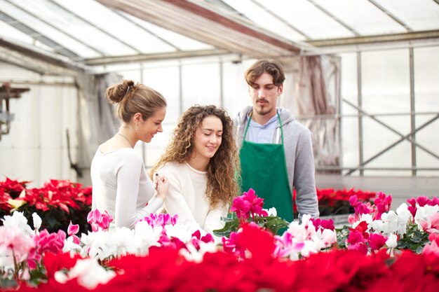 Le persone che lavorano in un vivaio