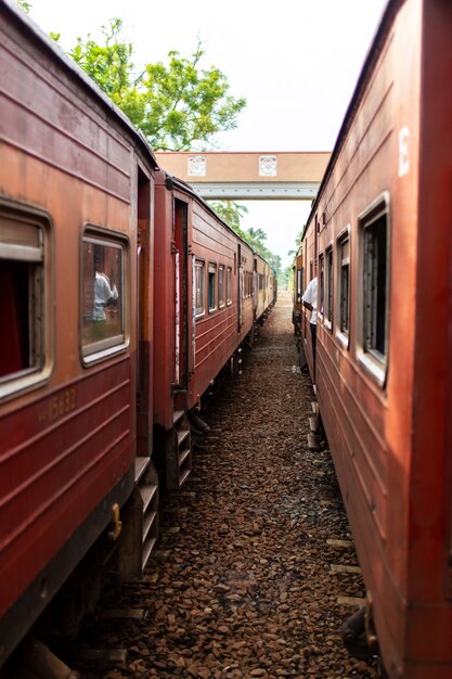 Le persone comunicano dalle finestre di vari treni fermati alla stazione