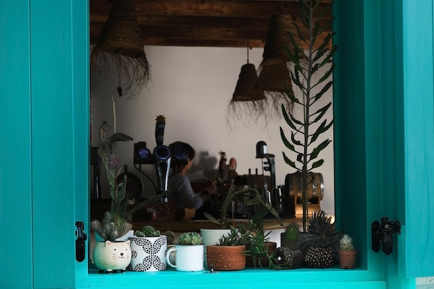 Le piante in piccoli vasi stanno sul davanzale di un caffè