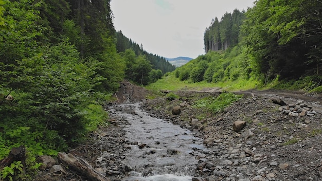 Le pittoresche montagne del paesaggio sono circondate da ruscelli forestali che le attraversano