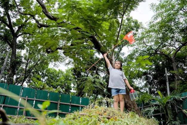 Le ragazze asiatiche carine stanno imparando dalla sua avventura con la natura per catturare gli insetti con bastoncini contenenti rete per insetti e lattine Concetto educativo