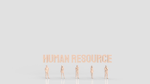 Le risorse umane HR si riferiscono al dipartimento all'interno di un'organizzazione responsabile della gestione delle persone che lavorano per l'azienda