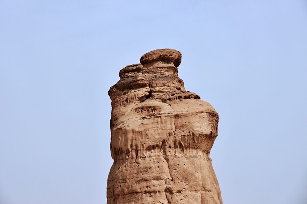 Le rocce d'arte nel deserto vicino ad Al Ula Arabia Saudita