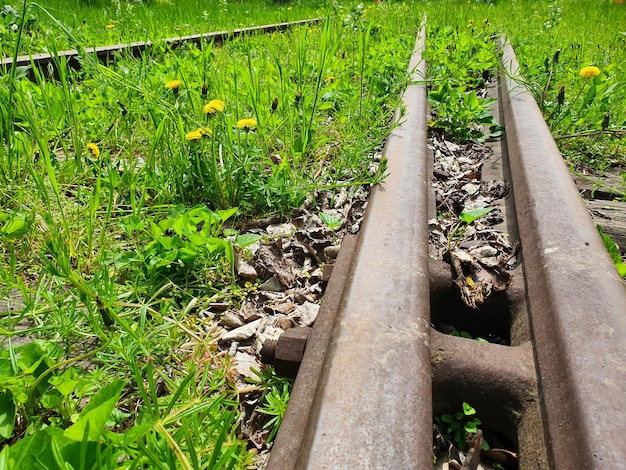 Le rotaie della ferrovia sono in stato di abbandono