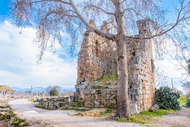 Le rovine dell'antica città di Perge Perge è un'antica città greca sul Mediterraneo meridionale