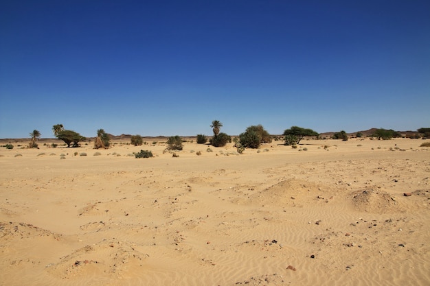 Le rovine dell'antico monastero di Ghazali nel deserto del Sahara in Sudan, Africa