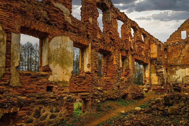 Le rovine della vecchia casa padronale costruita in mattoni rossi. Repubblica di Paulava, Lituania